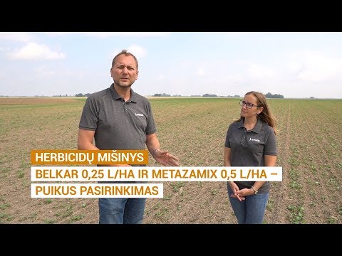 Video: Mechaniniai Ir Cheminiai Piktžolių Naikinimo, Prevencijos Metodai