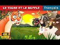 LE TIGRE ET LE BUFFLE  Histoire Pour Sendormir  Histoire Pour Les Petit  Contes De Fées Français