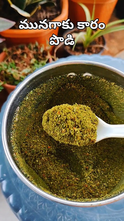 మునగాకు దొరికితే ఈ పొడిని చేసుకోవడం అస్సలు మిస్ అవ్వద్దు ఎముకల బలానికి చాలా అంటే చాలా లాభాలు ఉన్నాయి