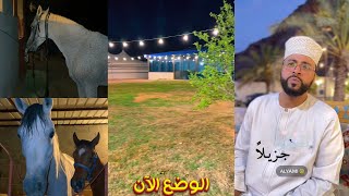 سنابات عساف الشمري| المنشد محمد عباس 😴 شغل مرتب في الاستراحة 👌خيل عساف 🐴🥰