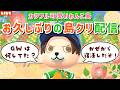 【あつ森】お久しぶりです！カラフル可愛いわんこ住民の暮らす街を作るLIVE配信【あつまれ どうぶつの森】