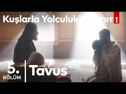Tavus | Kuşlarla Yolculuk 5. Bölüm