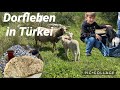 Türkisches Dorf / Leben in Türkei 🇹🇷