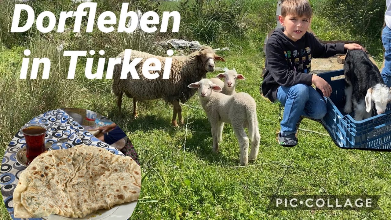 Türkisches Dorf / Leben in Türkei 🇹🇷