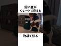 我が家だけのビーグルあるある