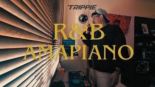 TRIPPIE - RNB \u0026 AMAPIANO (MIXTAPE)