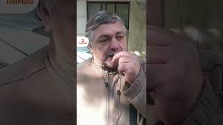 🌳 A TREE FELL AND CRUSHED HIS CAR IN THE MIDDLE OF THE NIGHT