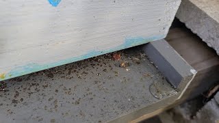 Don't Panic: Condensing Hive in Action!