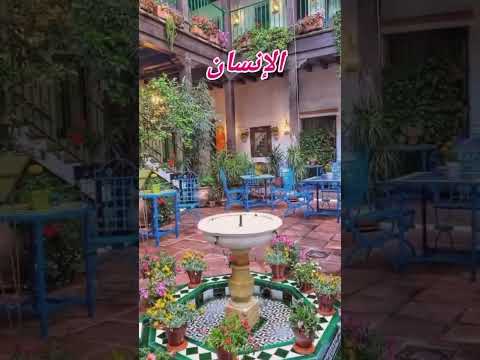 يا حي يا قيوم يا بديع السموات والأرض أغثنا