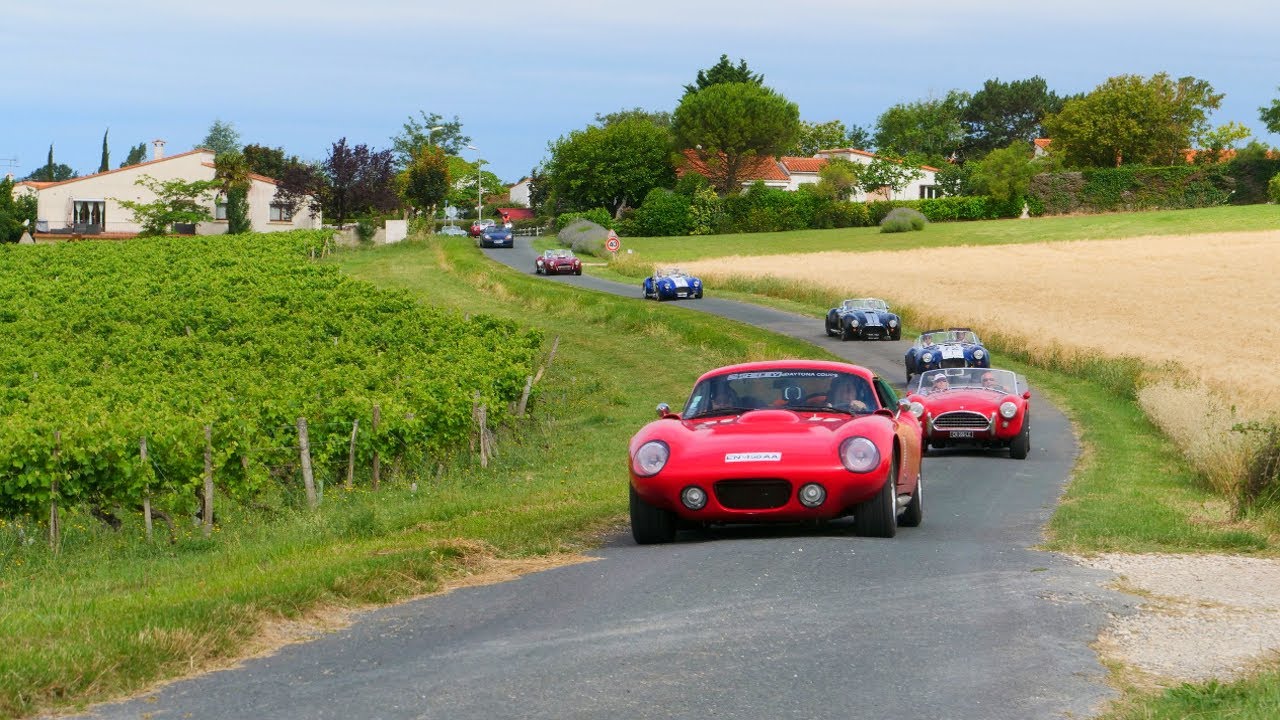 Cobra Côte de Beauté 2020