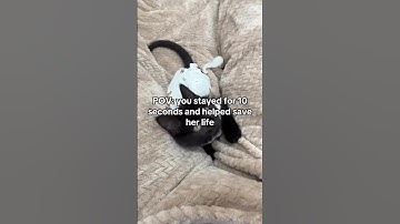 Donations link in the bio