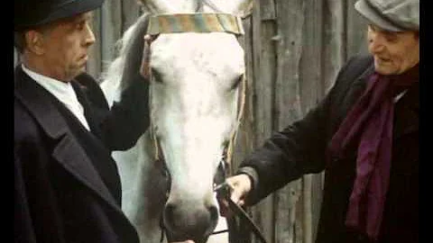 Jaké jsou pochoutky z kukuřičného zrna?