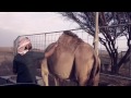 راعي هملوله