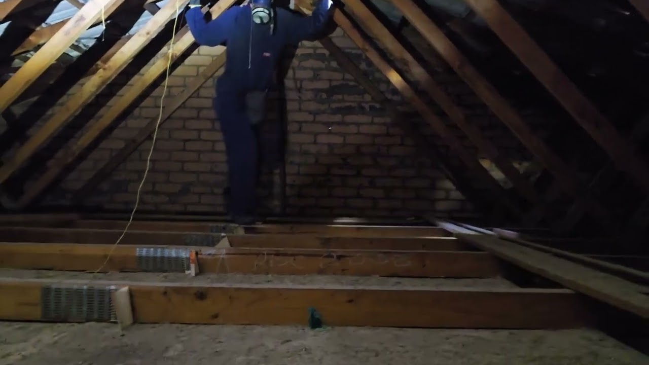 Castle Hill Rodent Pest Control Video