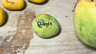 Fyre Wango Mango Tasting