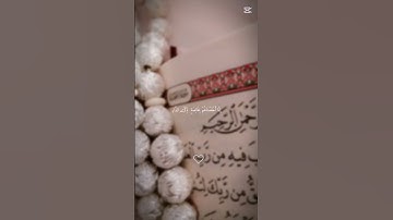 سورة صٓ 44-49 #جيش_البط