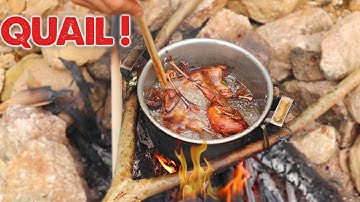 Primitive Technology Finding Quail in the forest - Catch and Cook Quail Eating Delicious
