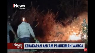 iNews NTT - Kebakaran Lahan di Sikka Ancam Permukiman Warga