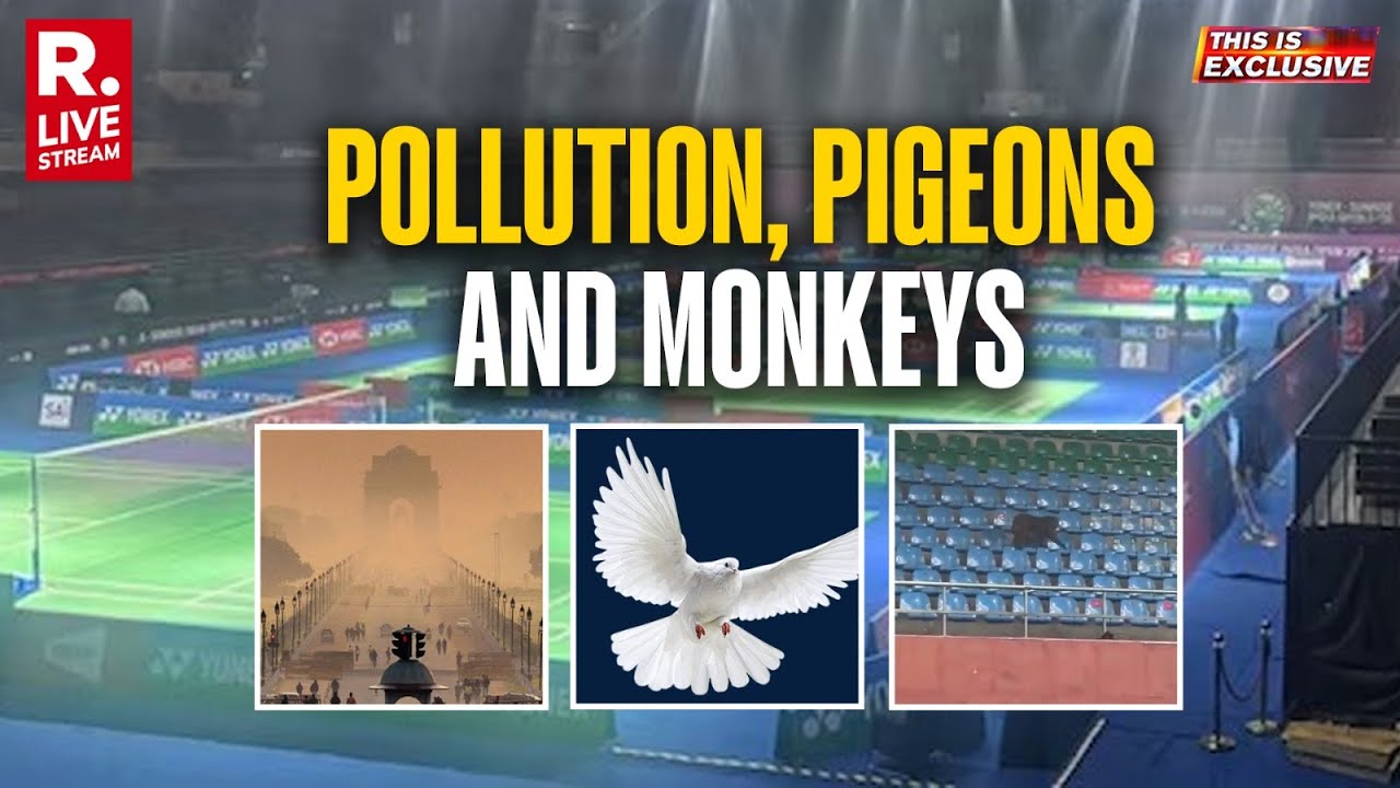 This is Exclusive LIVE: Not Players And Racquets But Monkeys And Pigeons | Badminton Controversy