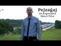 Pejzaĝaj – Ekzempla Filmo por la Usona Bona Film-Festivalo