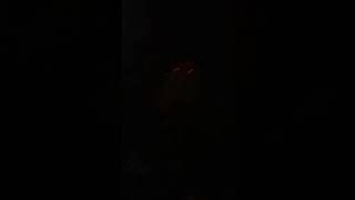 Talking about the Arkansas Razorbacks defeat to Texas A\&M 42-45