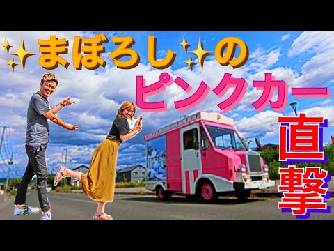 アイス 街でよく見かける可愛いピンクの移動販売車に直撃 Youtube