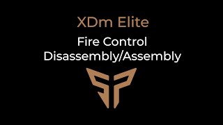 Springer Precision XDm Elite Fire Control Disassembly/Assembly Wealth