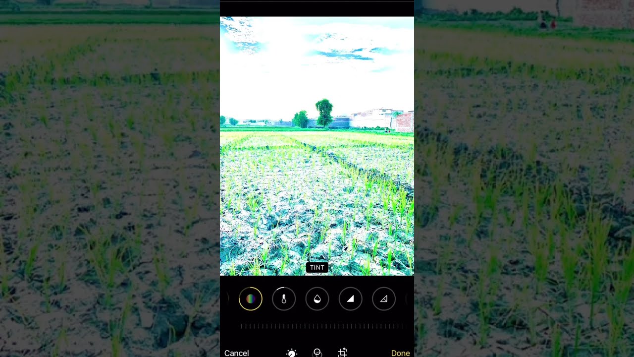 Amazing Green Grass Photo Editing in iPhone 14 Pro Max | Easy Tutorial for Stunning Results