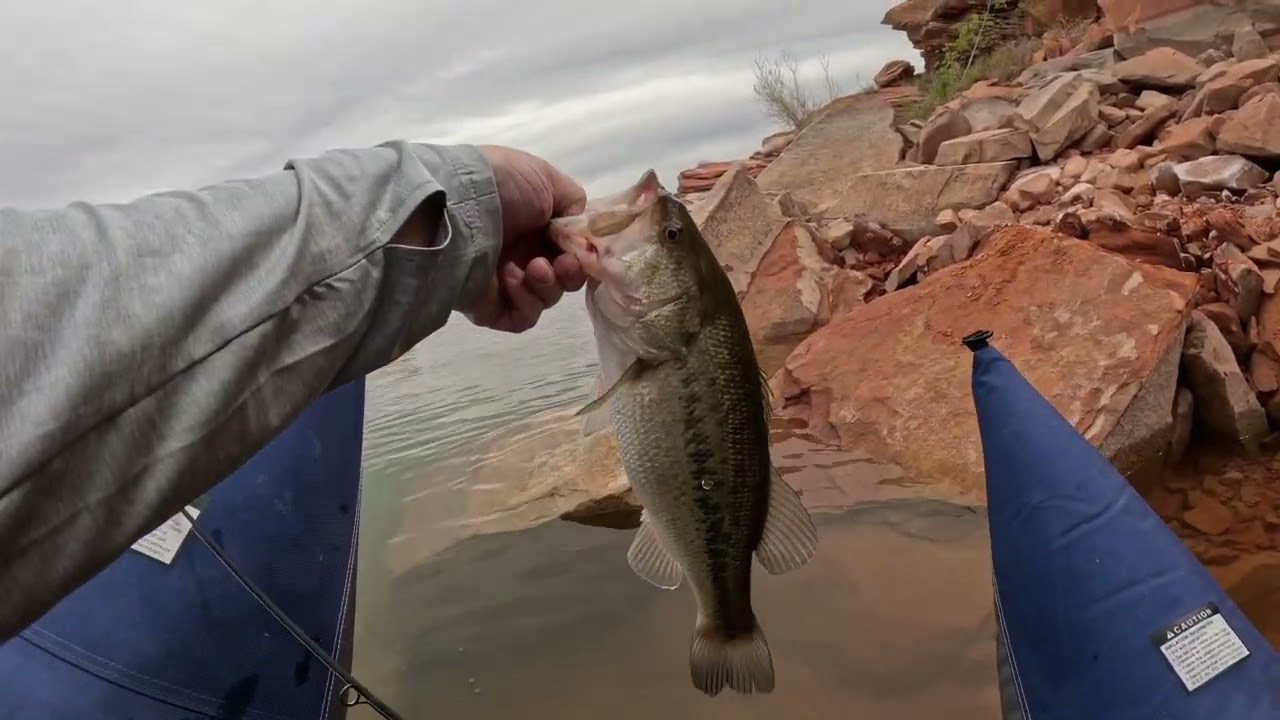 Sand Hollow Bass Fishing and Rescue.
