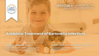 Antibiotic Treatment of Bartonella Infections