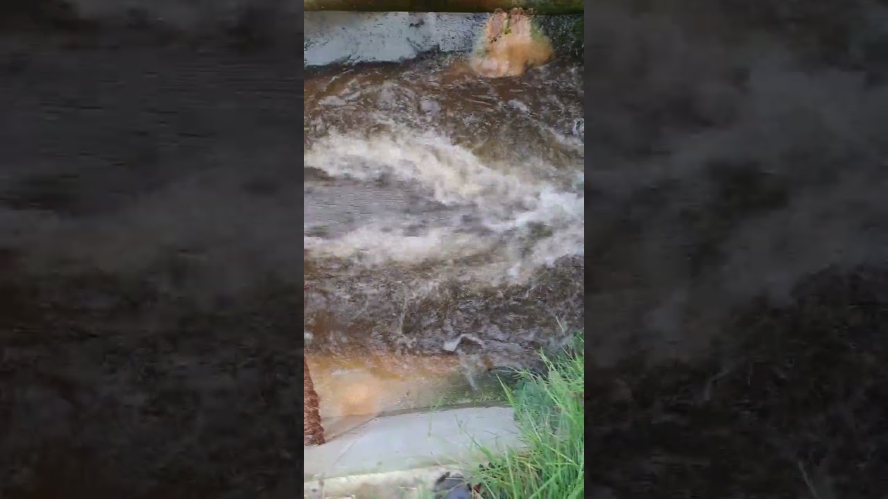 Soothing  Natural sound & Music | Mindful Wanderer:Nature, Travel & Meditation