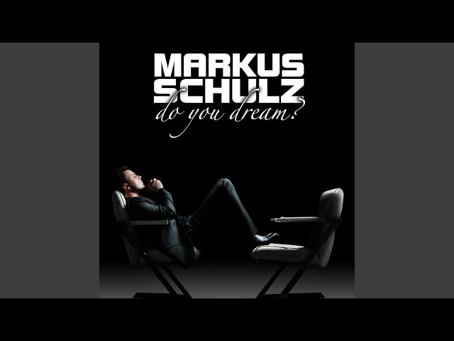 Markus Schulz - Goodbye
