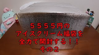 【福袋開封】第２弾！5555円のアイスクリーム福袋を開封する！！