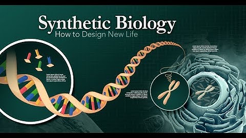 What is Synthetic Biology? [2023]