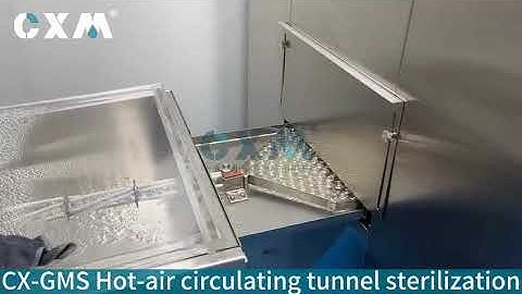 How Vials Are Sterilized in Pharma Production | Hot Air Circulating Tunnel Explained