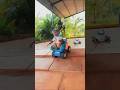 Monkey Mama Hai Shorts Funny Comedy Monkey Kids HappyMonkeyy Monkey Mama Hai Shorts Funny Comedy Monkey Kids HappyMonkeyy