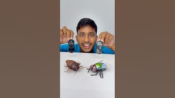 Remote wala cockroach