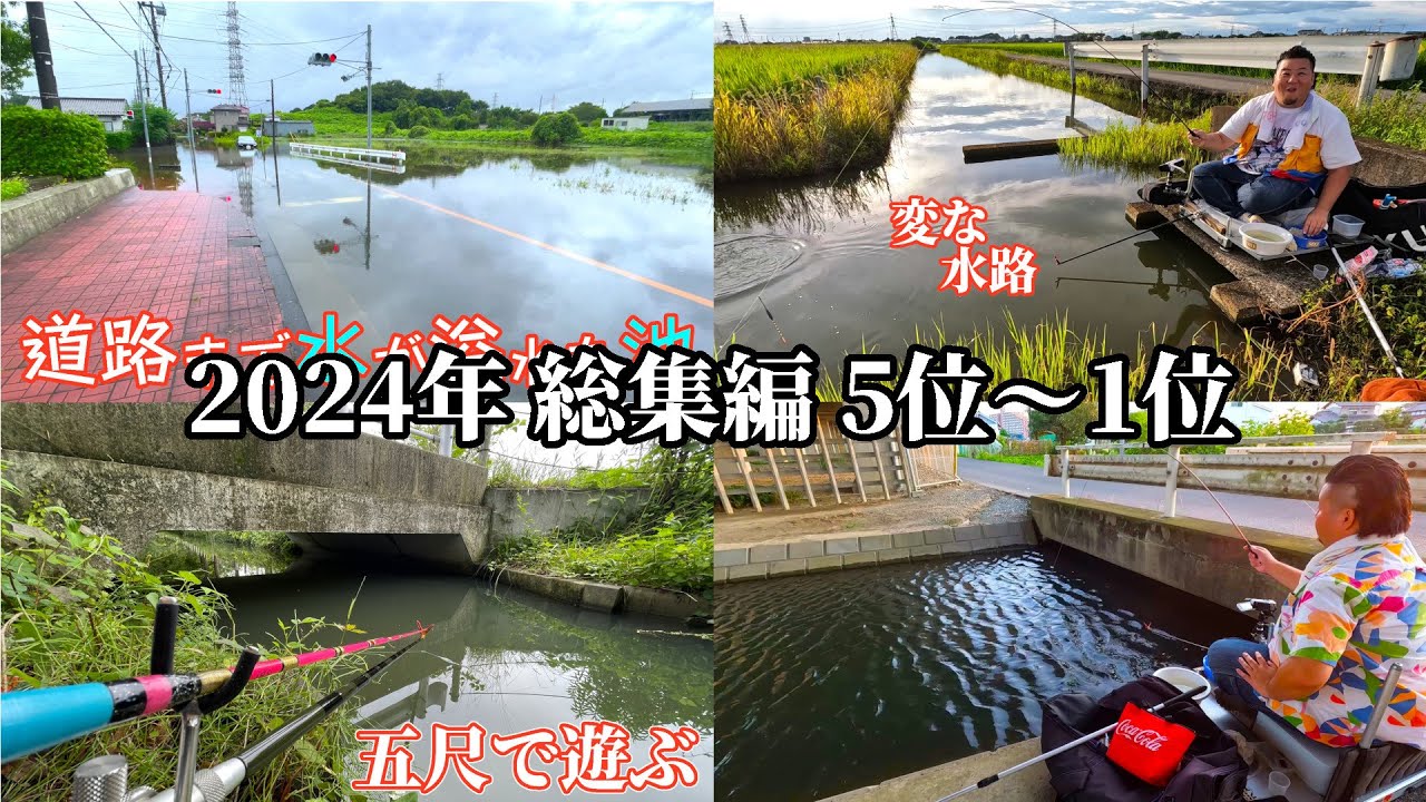 SBFJトネガワの2024年に再生された動画ランキング 5位～1位