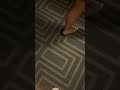 PREETY WOMEN HOTEL .