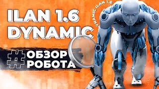 Как работает советник Ilan 1.6 | Стратегия робота из Интернета screenshot 1