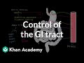 Control of the GI tract | Gastrointestinal system physiology | NCLEX-RN | Khan Academy