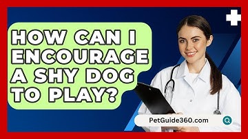 How Can I Encourage A Shy Dog To Play? - PetGuide360.com