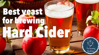 Best Yeast for Brewing Hard Cider | The Brewing Brothers #2