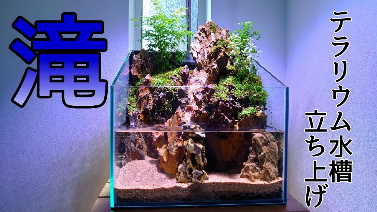 【滝のあるテラリウム水槽を作る】I want to make an aquarium with a waterfall 石組みテラリウム水槽 気孔石レイアウト