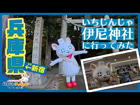 【いちじんチャンネル第20回】「いちじんじゃ」で「いちじんしゃ」の社業成功を祈願！兵庫県の伊尼神社に行きました。【一迅社20周年】