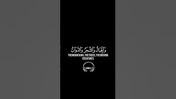 #ياسر_الدوسري #quran #اكسبلور #التدبر #لايك #اطمئن_وتوكل_على_الله #راحة_نفسية #القارئ_ياسر_الدوسري