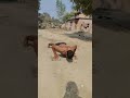 Desi sapate #Vikas yadav fitness Vikas yadav fitness#video #sapate #army #youtubeshorts #motivation