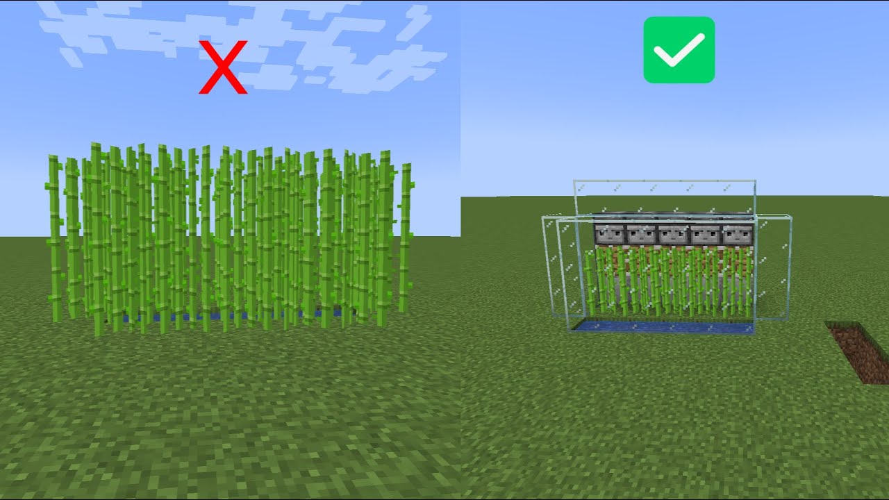 Tutorial how to build a sugar cane farm in Minecraft - YouTube