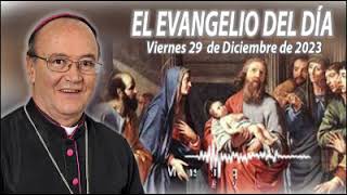 Evangelio Viernes 29 Diciembre 2023, Mons. Enrique Díaz Díaz