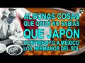 Algunas cosas que quizá no sabías que Japón contribuyo a México - Los Hermanos del sol